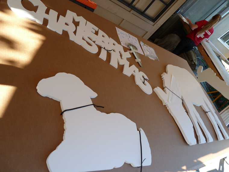 Lifesize Nativity Packaging Image
